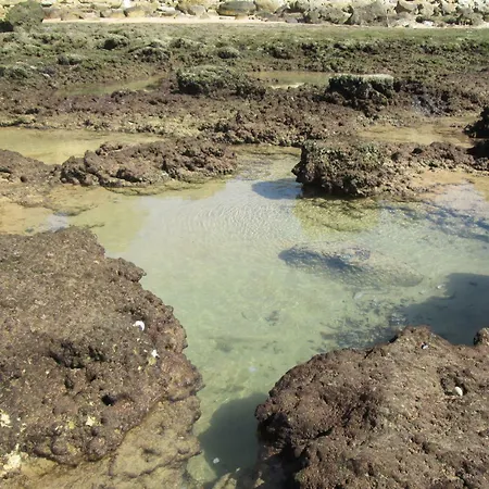 דירה Mica אלבופיירה