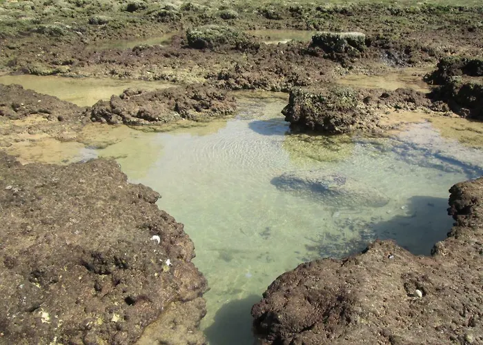 아파트 Mica 알부페이라